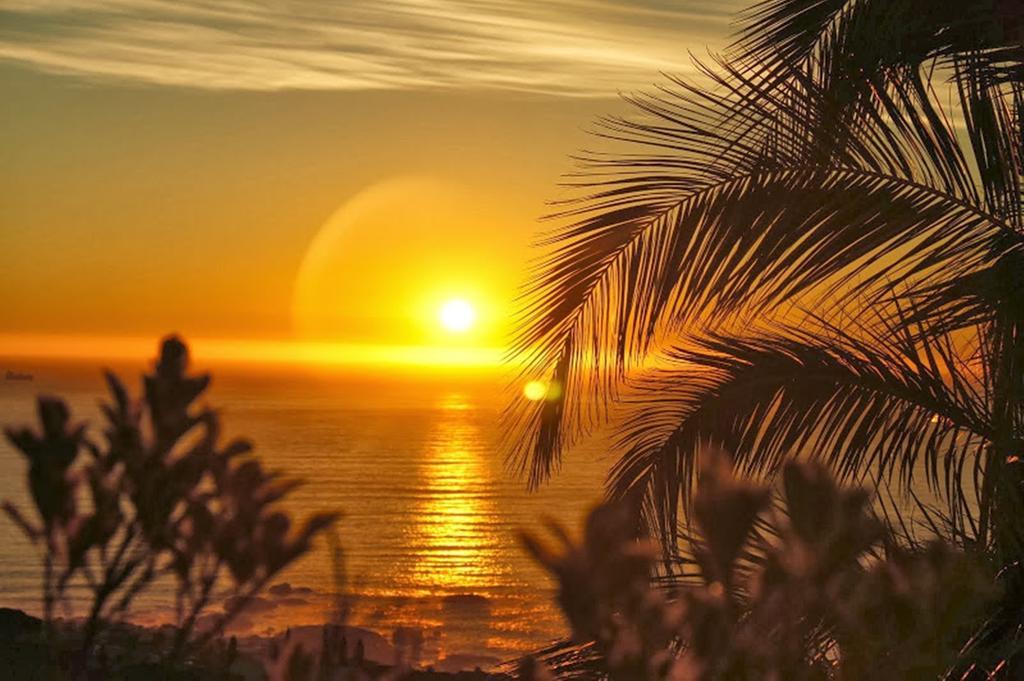 Michelitsch * Cidade Do Cabo